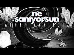 Ne Sanıyorsun