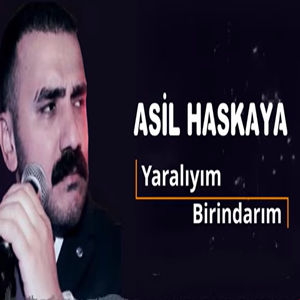 Ayıp Ettin (feat Yunus Can)