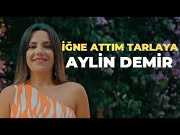 İğne Attım Tarlaya