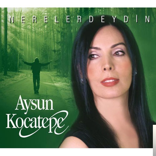 Ayran Gönüllü (Remix)
