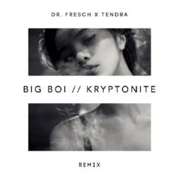 Kryptonite (Dr Fresch & Tendra Remix)