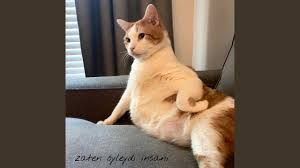 Zaten öyleydi insanı