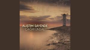 Alıştım Sayende