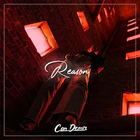 Reason (Remix)
