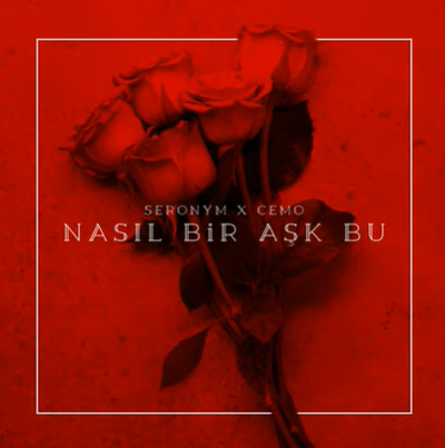 Nasıl Bir Aşk Bu (feat Seronym)