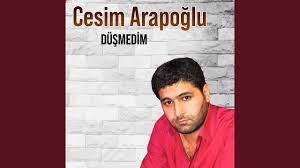 Düşmedim