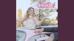 Salak Mı Sandın 