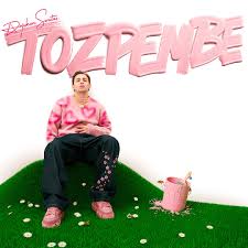 Tozpembe
