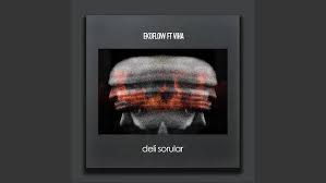 Deli Sorular ft Viha
