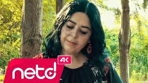 Neşter 