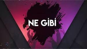 Ne Gibi (Remix)