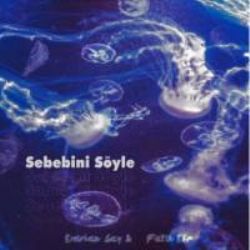 Sebebini Söyle ft Fatih Efe