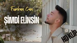 Şimdi Elinsin