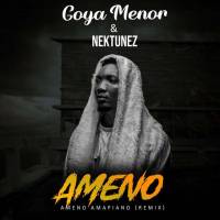 Ameno ft Nektunez (Amapiano Remix)