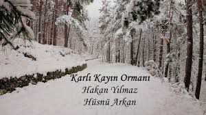 Karlı Kayın Ormanı ft Hüsnü Arkan 