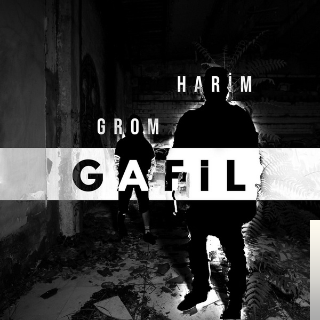 feat Grom-Gafil