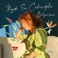 Ara Zeynep Bastık (piyano cover)