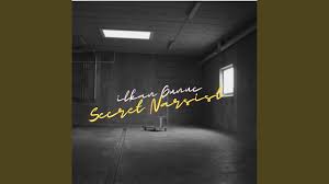 Secret Narsist