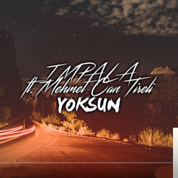 feat Mehmet Can Tireli-Yoksun