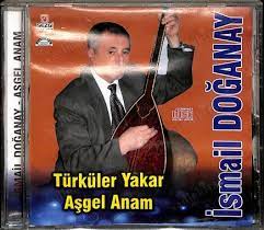 Yarim Gider Oduna