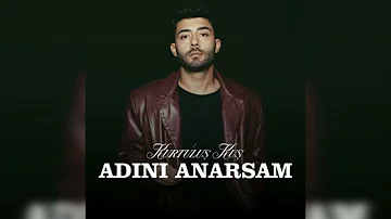 ADINI ANARSAM