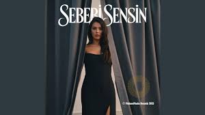 Sebebi Sensin
