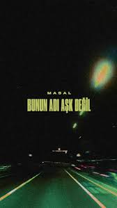 Bunun Adı Aşk Değil
