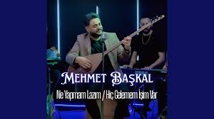 Hiç Gelemem İşim Var