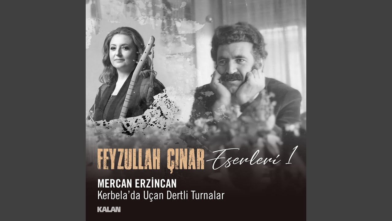 Kerbelada Uçan Dertli Turnalar (Feyzullah Çınar Eserleri 1)