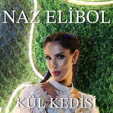 Oyun Bitti