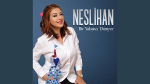 Bir Yabancı Duruyor 