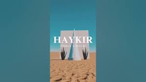 Haykır ft Mili B