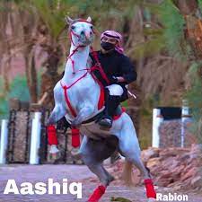 Aashiq (Arab Remix)