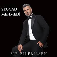 Bir Bilebilsen 
