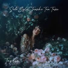 Toydum ft Tan Taşçı