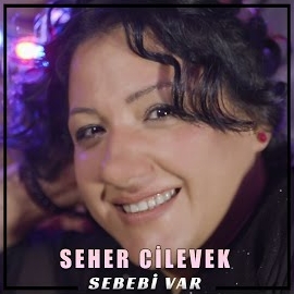 Sebebi Var (feat Ahmet Canayakın)