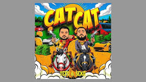 ÇAT ÇAT ft Tefo