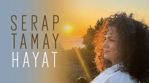 Hayat Gibi 