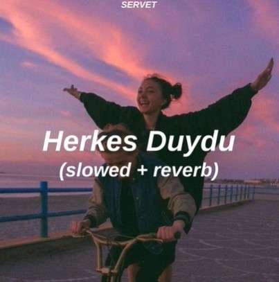 Herkes Duydu (Slowed and Reverb)