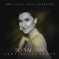 Aşkı Bulacaksın