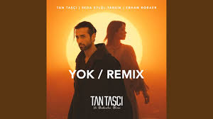 Yok ft Seda Eylül Tansık, Erhan Boraer (Remix)