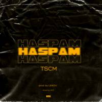 Haspam (Vasi Remix)