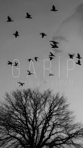 Garip