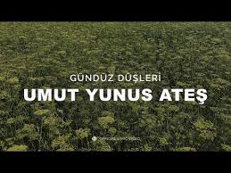 Gündüz Düşleri 