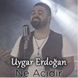 Süper Halaylar ft. Dilan Türkyılmaz