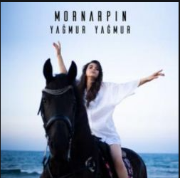 Acemi Balık (feat MorNarpın)