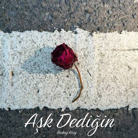 Aşk Dediğin