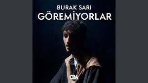 Göremiyorlar