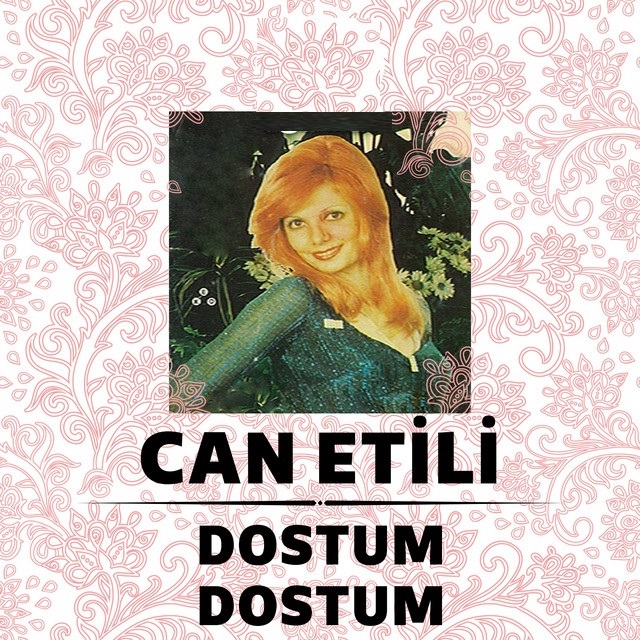 Bir Yiğit Gurbete Gitse 