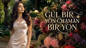 Gul Bir Yon Chaman Bir Yon (Cover)